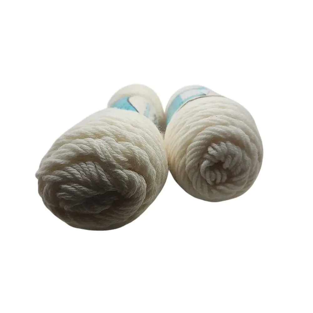 2 Skein of Mary Maxim Starlette Yarn - Teinte 3.5oz 4ply Worsted 100% Acrylic